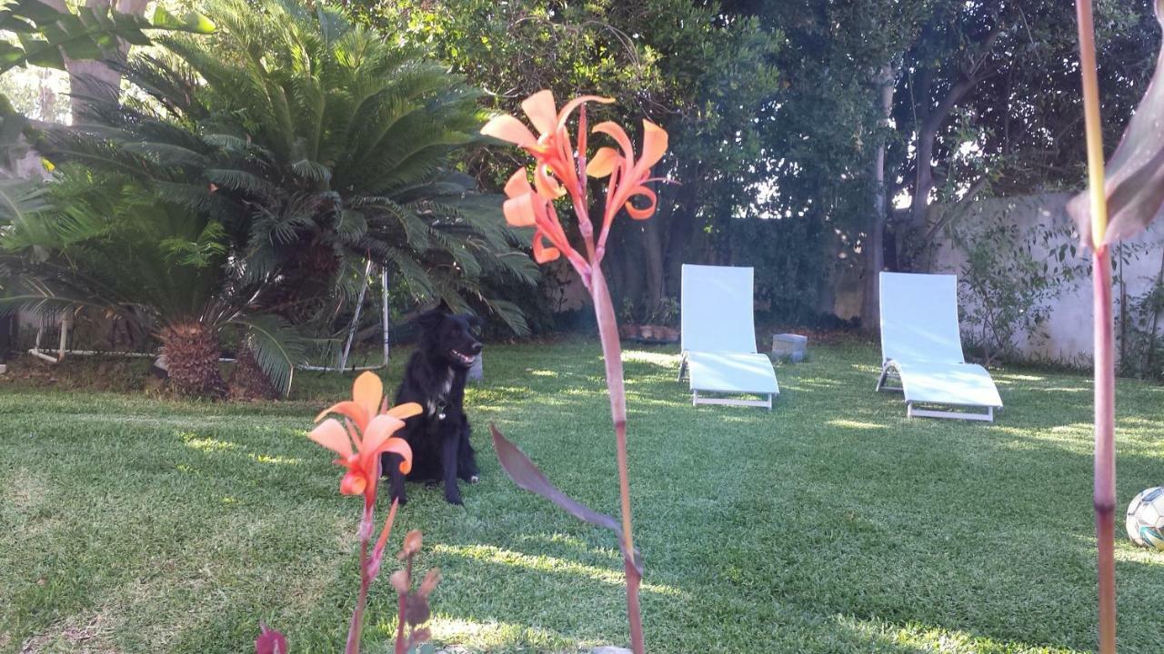 Apartmán A Casa Di Marley Lecce Exteriér fotografie